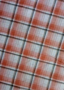 Checked Casual Shirt