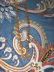 Fancy Payal