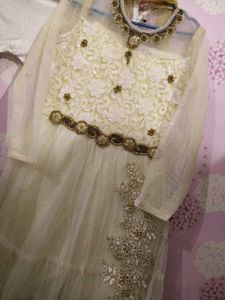 Fancy Women Partywear Gowns