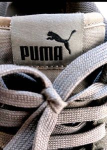 Puma Suede Classic Sneakers