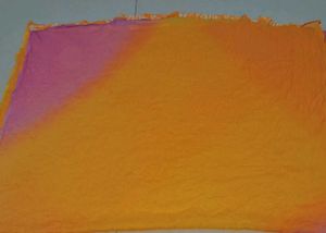 Floral Print Kurta set