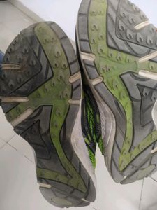 Running Shoes ( Parrot Green And Ash Colour Combo)
