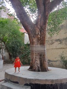 Baby Frock