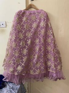 Embroidered Blue and pink lehanga
