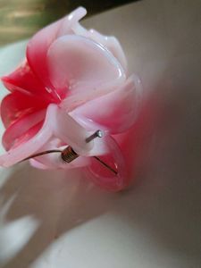 Hair claw Clip