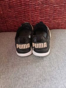 Authentic Puma Shoe