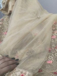 Embroidered Lehenga Choli