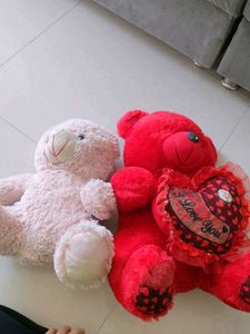 Teddy bear combo