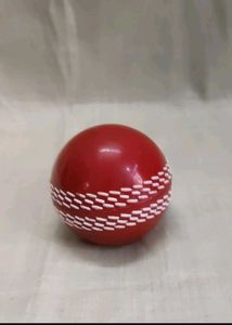SS Cricket Ball