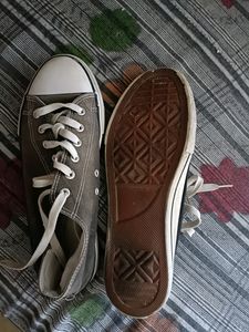 Canvas (Used 2 months Only)