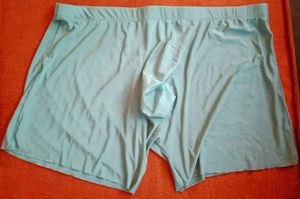 Men Ice Silk Seamless Underwear