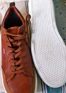 Levis Original Brand New Shoes
