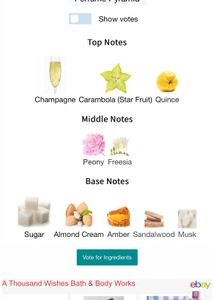 Bbw Thousand Wishes perfume 10ml sample