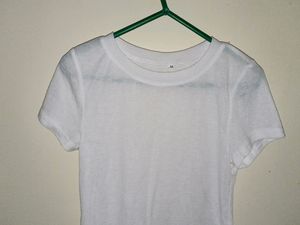 Sheer Crop Top