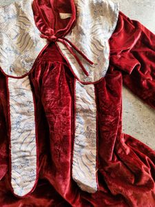 Vintage Velvet top