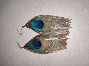 Peacock Feather Earrings