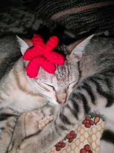 Red Crochet Hair Clips- Set Of 2