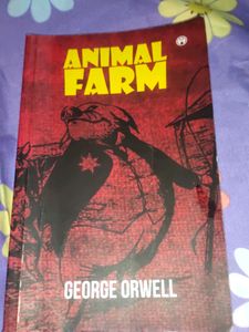 Novel