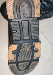 Brand New Sparx Shoes