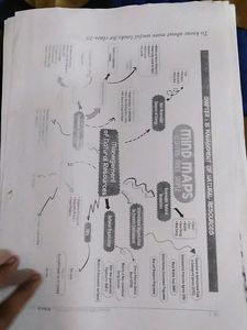 Cbse Class 10 Package Handwriting Notes +model Papers +mind maps Etc