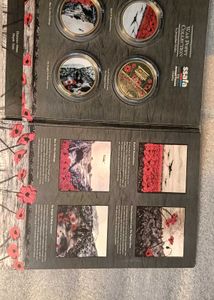 war poppy collection by Jacqueline Hurley