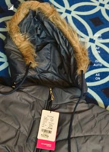 Ellipse Jacket For Women