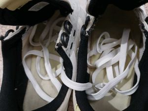 Mango Sneaker For Women