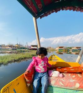 Cute Pink Swan Sweater
