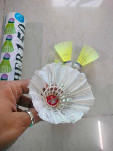 Shuttlecock