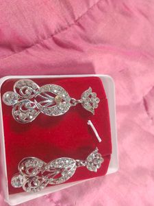 Sparkling Silver Earrings