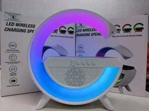 Portable Google Wireless Speaker