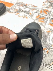 Adidas Sneakers