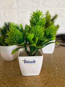 3 Artificial Plants