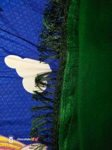 Elegant Green Embellished Saree💚