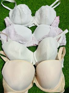 38 Size Padded Collection
