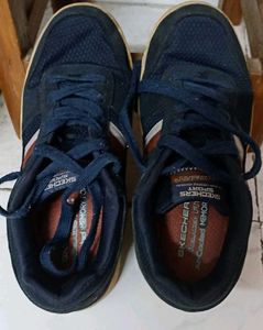 Women Skechers Sneakers
