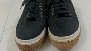 Black Sneaker For Female