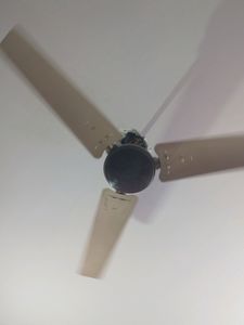1200 Mm Ceiling Fans Brown Cream Colour