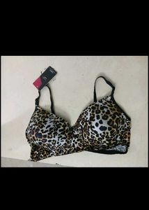 Cukoo Padded Pushup Bra