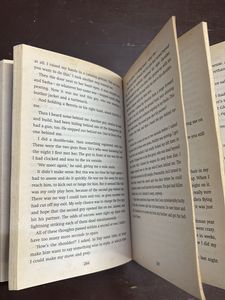 The Wrong Man - David Ellis