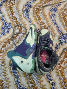 Nike LeBron Edition