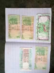 Vintage Currency Collection