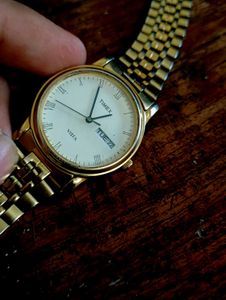Timax Vista Watch