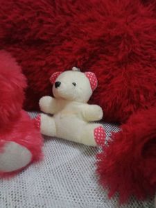 Teddy Bear Set