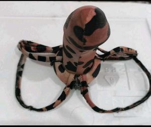 Leopard Print Thong