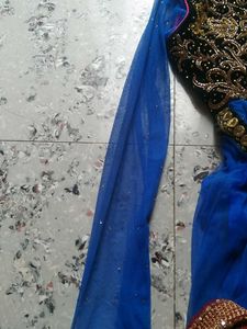 This Beautiful Net Gown