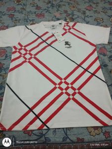 Combo Of 3 Shirt