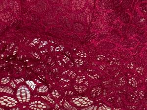 Fancy Silky Net Lightly Padded Non Wired Bralette
