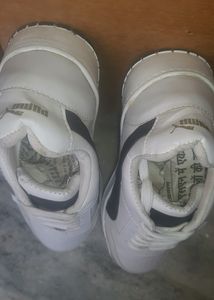 Puma Cheap First Copy Price Drop Offer