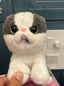 Cute Plush Cat Toy